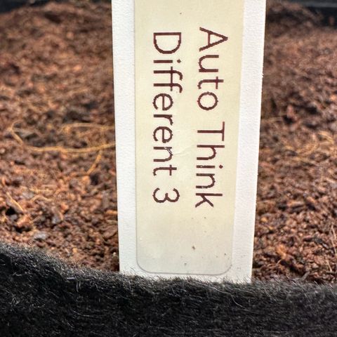 Auto Think Different  #3 growlog timeline photo