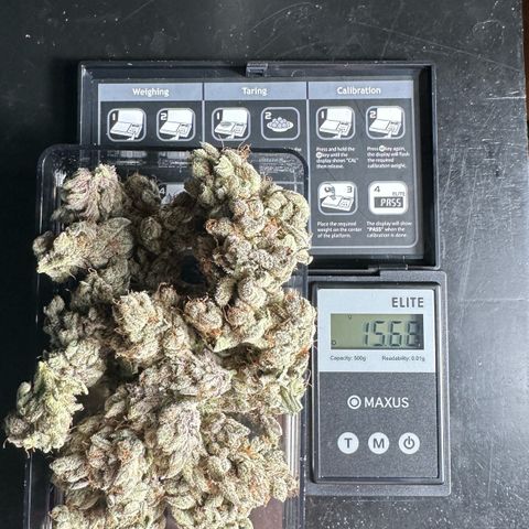 Misc x (LA Kush x Zkittles) #34 15.68g growlog timeline photo