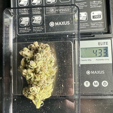 Misc x (LA Kush x Zkittles) #26 60.7g growlog timeline photo