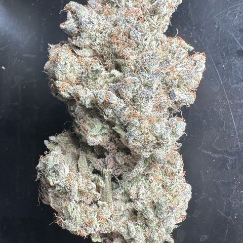 CxLAZ #24 37.13g growlog timeline photo
