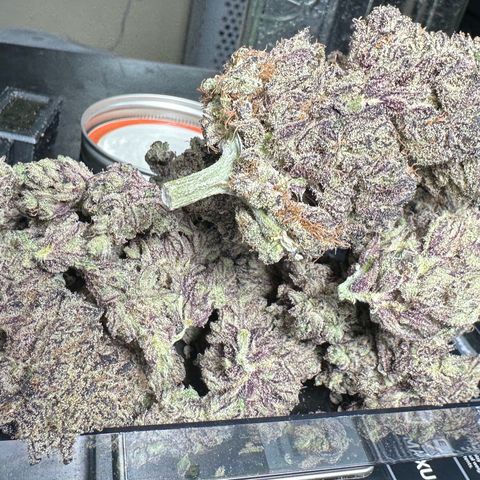 Misc x (LA Kush x Zkittles) #22 34.14g growlog timeline photo