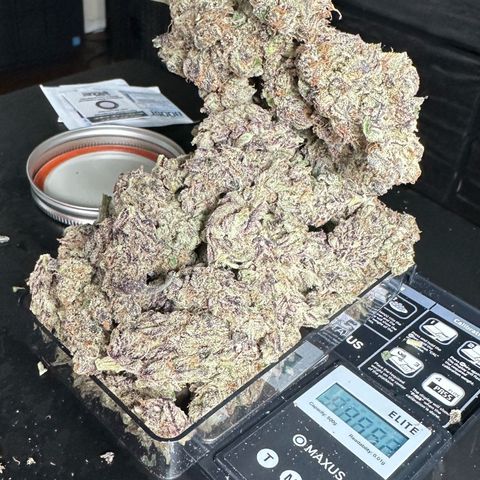 CxLAZ #03 45.52g growlog timeline photo