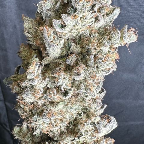 CxLAZ #24 37.13g growlog photo: Moved to plastic bag