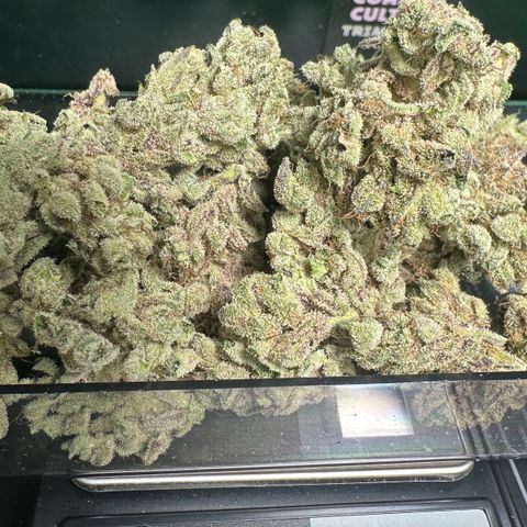 Misc x (LA Kush x Zkittles) #28 13.53g growlog timeline photo