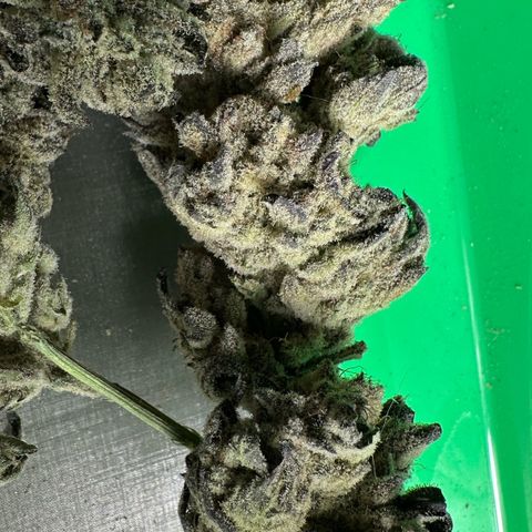 Misc x (LA Kush x Zkittles) #29 25.69g growlog timeline photo