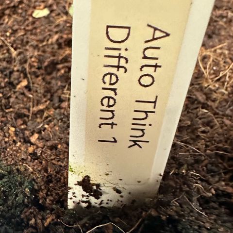 Auto Think Different  #1 growlog timeline photo