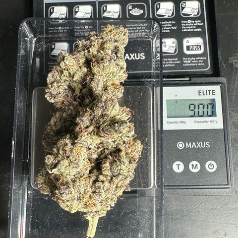 CxLAZ #03 45.52g growlog timeline photo