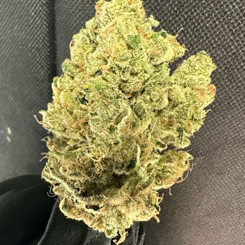 CxLAZ #15 52g growlog photo: Seeded bud