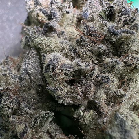 Misc x (LA Kush x Zkittles) #29 25.69g growlog timeline photo