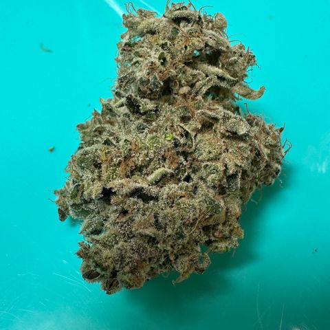 CxLAZ #15 52g growlog photo: Seeded bud