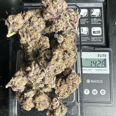 Misc x (LA Kush x Zkittles) #37 42.26g growlog timeline photo