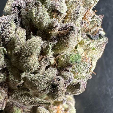 Misc x (LA Kush x Zkittles) #35 28.55g growlog timeline photo
