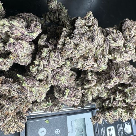 Misc x (LA Kush x Zkittles) #22 34.14g growlog timeline photo