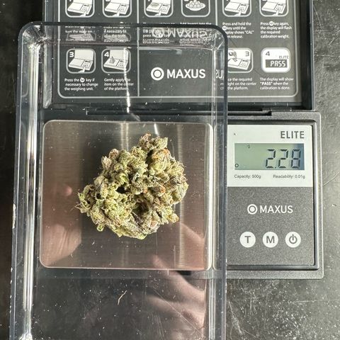 Misc x (LA Kush x Zkittles) #33 19.08g growlog photo: 19g total put in Grove bag