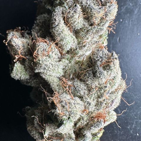 Misc x (LA Kush x Zkittles) #34 15.68g growlog timeline photo