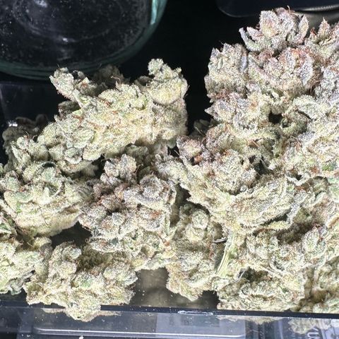 Misc x (LA Kush x Zkittles) #26 60.7g growlog timeline photo
