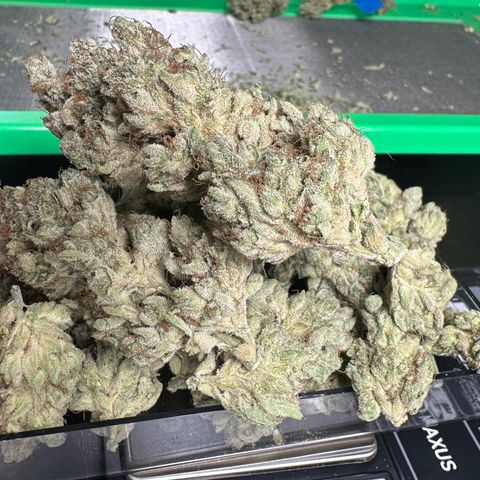 CxLAZ #06 growlog timeline photo