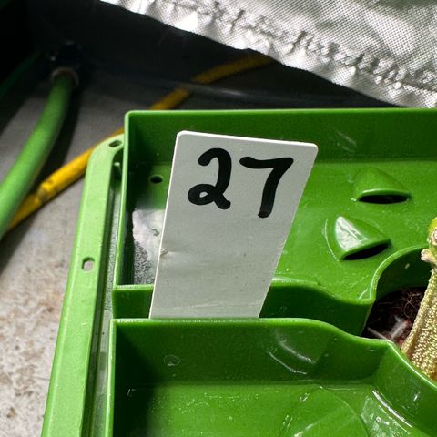 MiscxLAZ #27 C 39g growlog photo: Lollipopped and flipped to flower