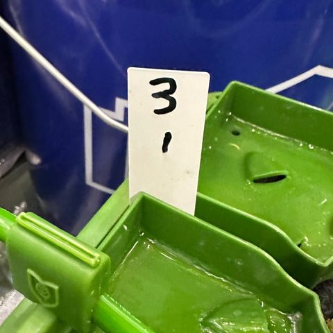 CxLAZ #03 C #1 58.58g growlog timeline photo