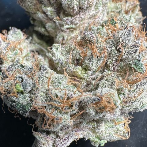 CxLAZ #31 58.75g growlog photo: Trimmed and moved to jar