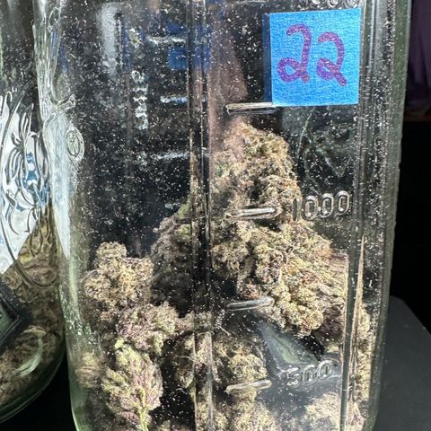 Misc x (LA Kush x Zkittles) #22 34.14g growlog timeline photo