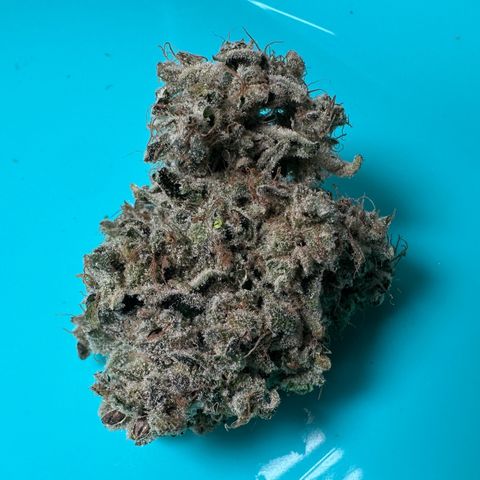 CxLAZ #15 52g growlog photo: Seeded bud