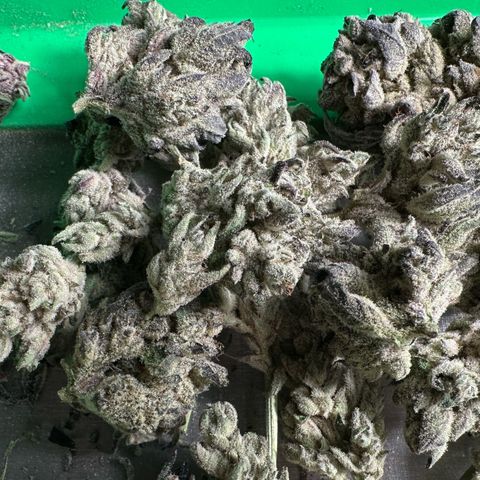Misc x (LA Kush x Zkittles) #29 25.69g growlog timeline photo