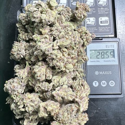 Misc x (LA Kush x Zkittles) #35 28.55g growlog timeline photo
