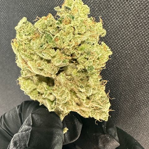 CxLAZ #15 52g growlog timeline photo