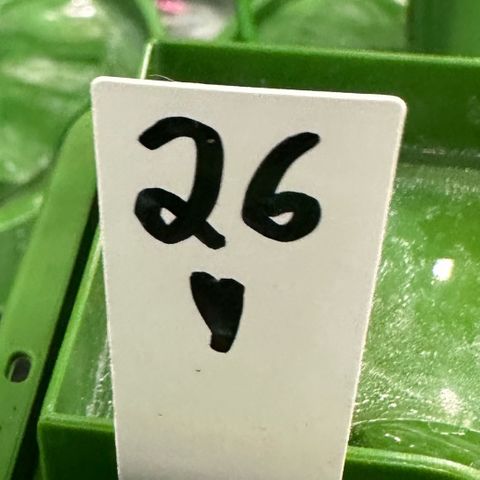 MiscxLAZ #26 C #1 47.15g growlog timeline photo