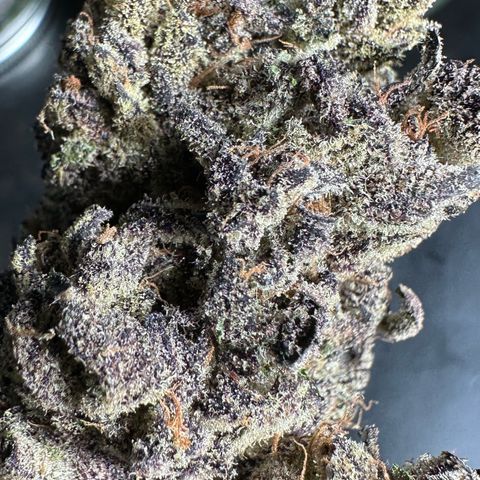 Misc x (LA Kush x Zkittles) #37 42.26g growlog timeline photo