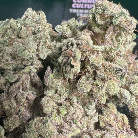 Misc x (LA Kush x Zkittles) #28 13.53g growlog timeline photo