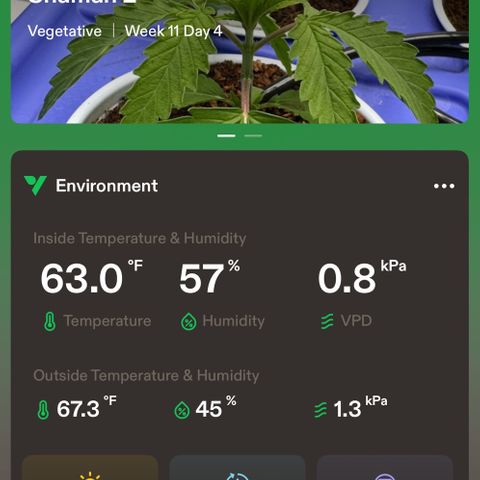Shaman growlog timeline photo