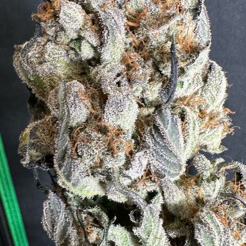 CxLAZ #31 58.75g growlog photo: Moved to plastic bag