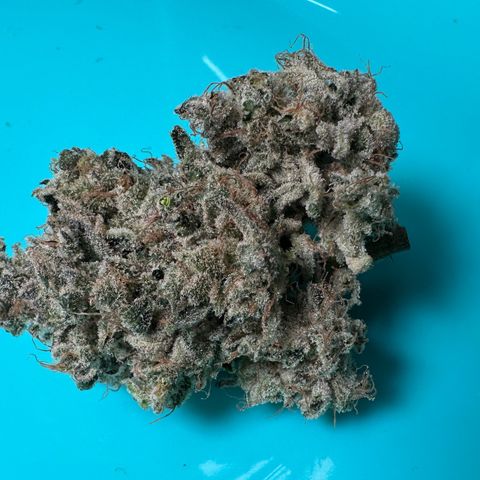 CxLAZ #15 52g growlog photo: Seeded bud