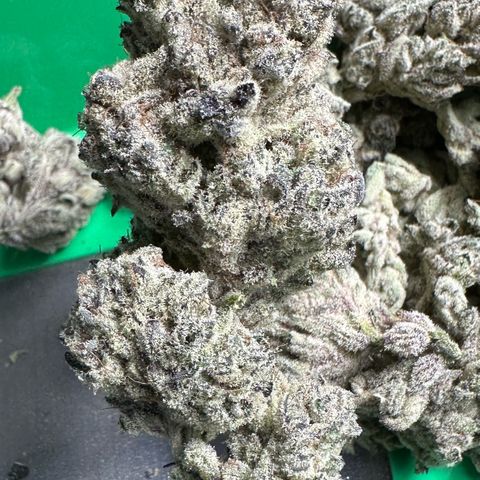 Misc x (LA Kush x Zkittles) #29 25.69g growlog timeline photo