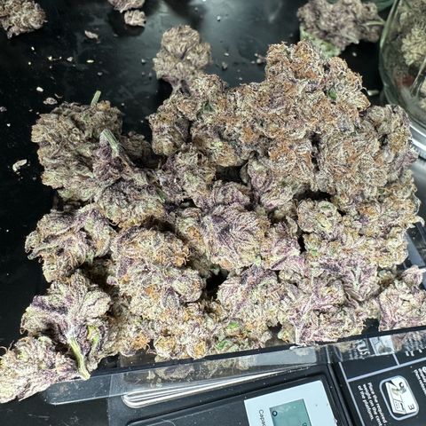 Misc x (LA Kush x Zkittles) #37 42.26g growlog photo: Nanners all over that I missed. Plant was on right side of tent where light was malfunctioning.