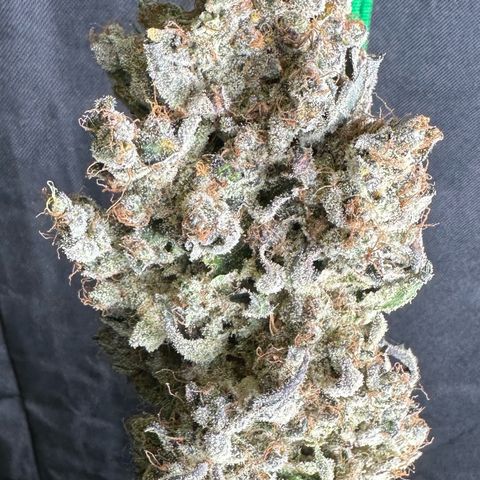 CxLAZ #24 37.13g growlog photo: Moved to plastic bag