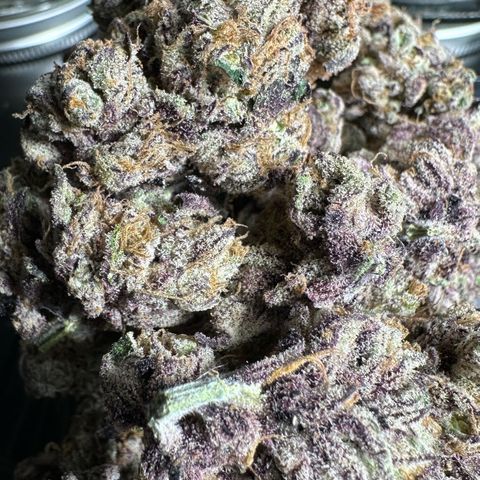 Misc x (LA Kush x Zkittles) #37 42.26g growlog photo: Nanners all over that I missed. Plant was on right side of tent where light was malfunctioning.