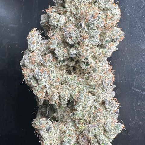 CxLAZ #24 37.13g growlog timeline photo