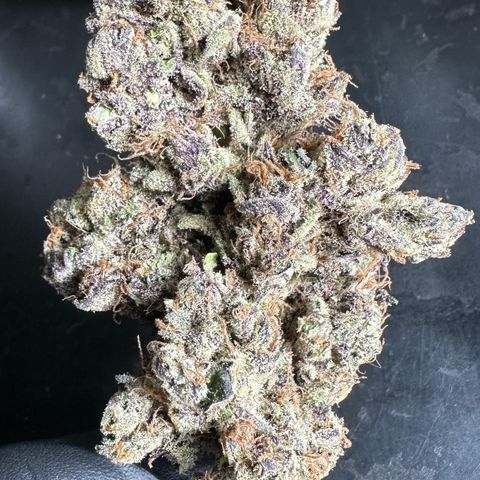 Misc x (LA Kush x Zkittles) #37 42.26g growlog timeline photo