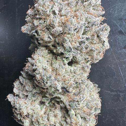 CxLAZ #24 37.13g growlog timeline photo