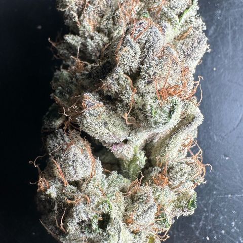 Misc x (LA Kush x Zkittles) #34 15.68g growlog timeline photo