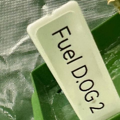 Fuel D.OG #2 Female 49.44g M growlog timeline photo