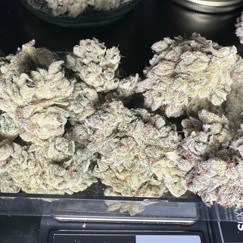 Misc x (LA Kush x Zkittles) #26 60.7g growlog timeline photo
