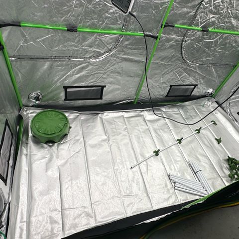 CxLAZ #16 50.72g growlog timeline photo