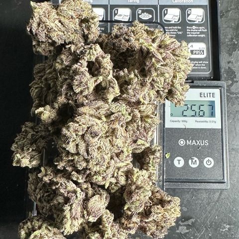 Misc x (LA Kush x Zkittles) #22 34.14g growlog timeline photo