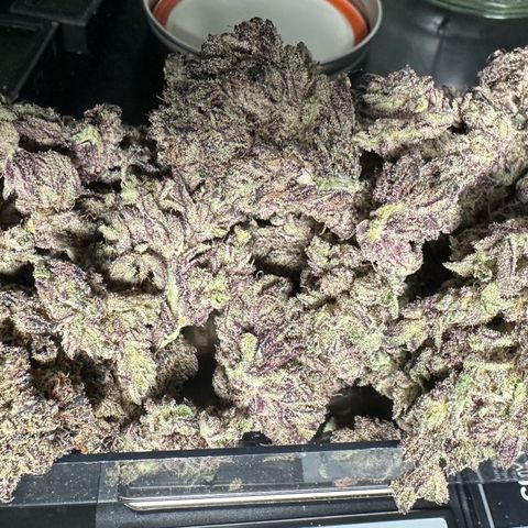 Misc x (LA Kush x Zkittles) #22 34.14g growlog timeline photo