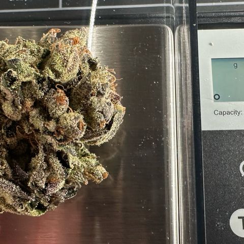 Misc x (LA Kush x Zkittles) #33 19.08g growlog photo: 19g total put in Grove bag
