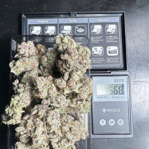 Misc x (LA Kush x Zkittles) #34 15.68g growlog timeline photo